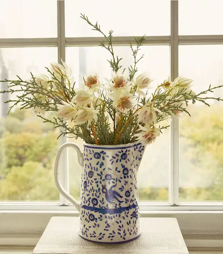 Oiseau Pitcher - Image 2